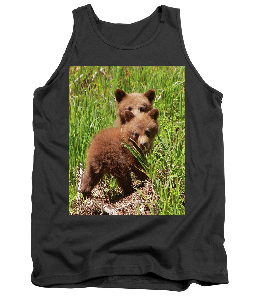 Black Tank Top featuring the photograph Black Bear Cubs by Bruce J Robinson