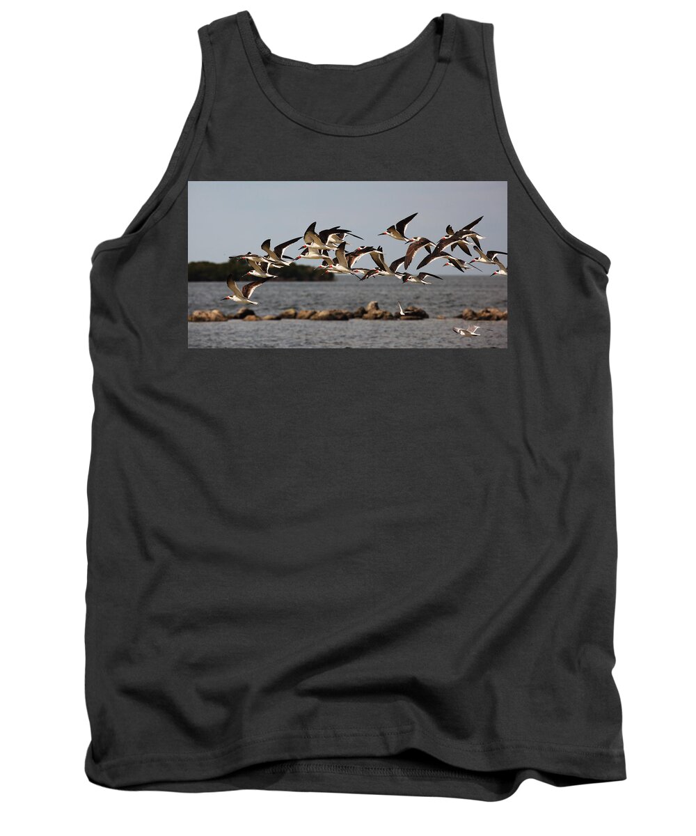 Rynchops Niger Tank Top featuring the photograph Black Skimmers in Flight by Jean Clark
