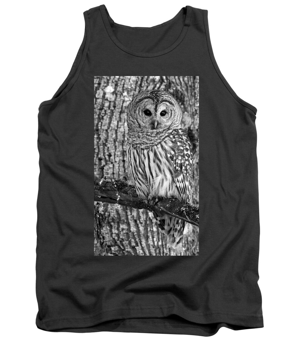 Barred Owl Tank Top featuring the photograph Blending In - 365-187 by Inge Riis McDonald