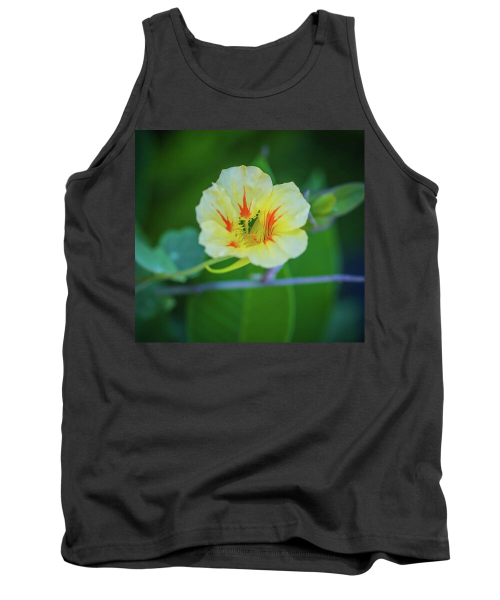 Flower Tank Top featuring the photograph Bloom by Hyuntae Kim