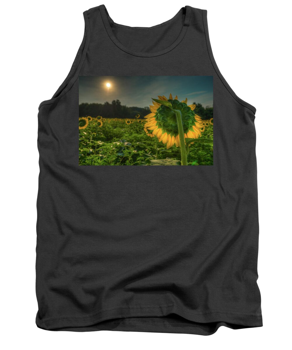 Bloom Tank Top featuring the photograph Blooming Sunflower facing Rising Sun by Dennis Dame