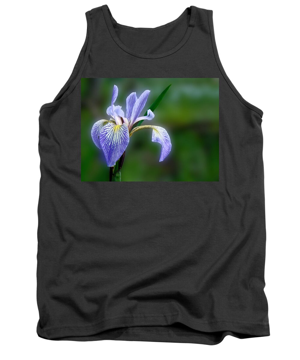 Iris Tank Top featuring the photograph Blue Flag Wildflower - Iris versicolor by Carol Senske