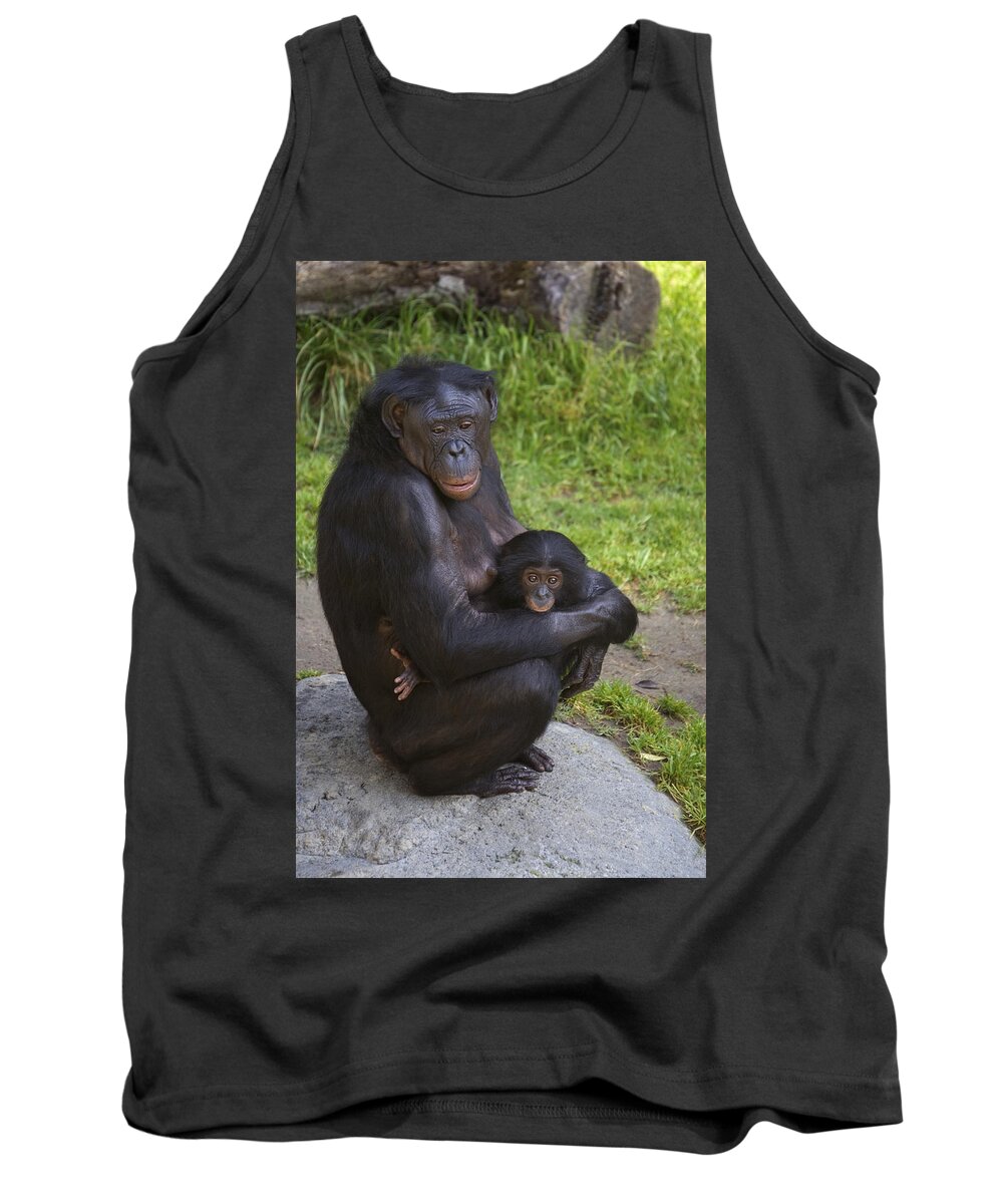 Mp Tank Top featuring the photograph Bonobo Pan Paniscus Mother Cradling by San Diego Zoo