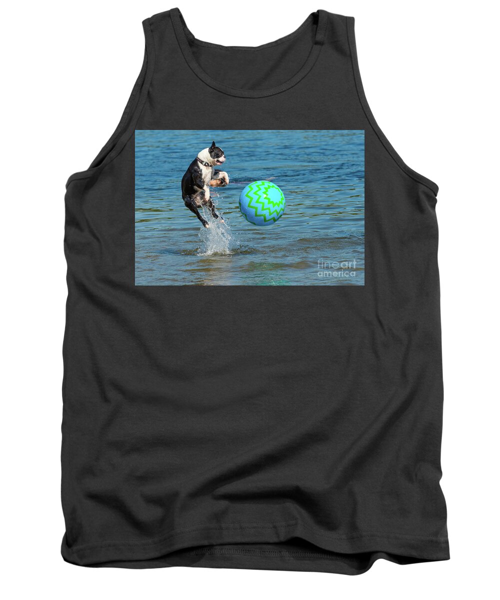 Dog Tank Top featuring the photograph Boston Terrier High Jump by Les Palenik