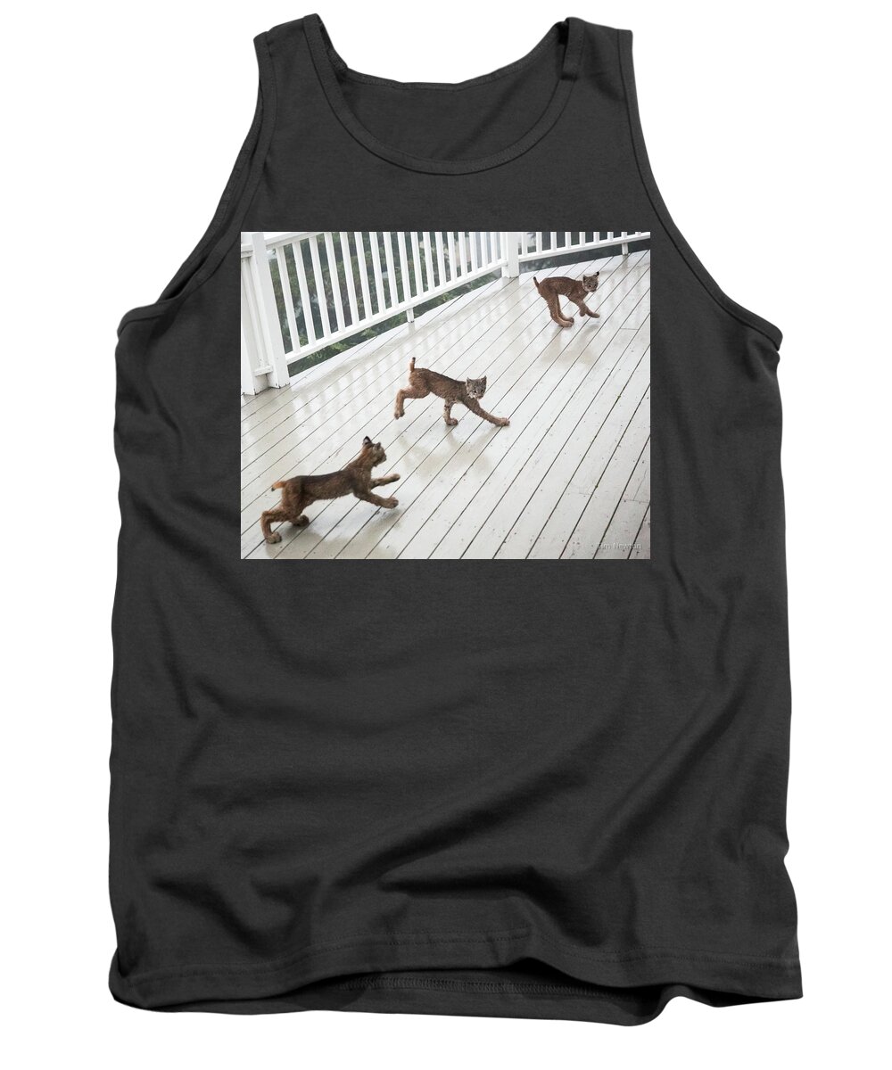 Lynx Tank Top featuring the photograph Bouncing Is Best by Tim Newton
