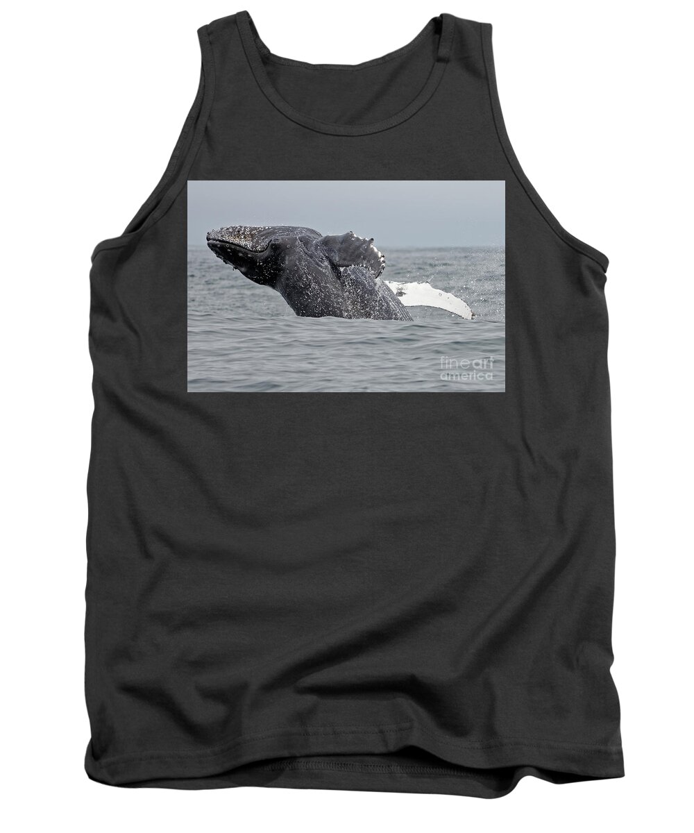Humpback Tank Top featuring the photograph Breach by Natural Focal Point Photography