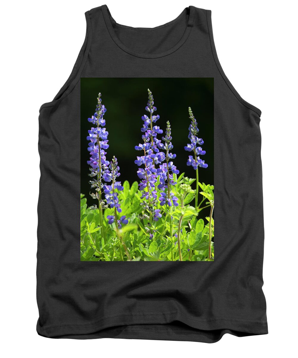 Lupines Tank Top featuring the photograph Brilliant Lupines by Elvira Butler