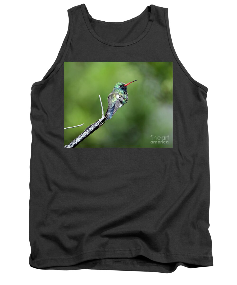 Denise Bruchman Tank Top featuring the photograph Broad-billed Hummingbird by Denise Bruchman