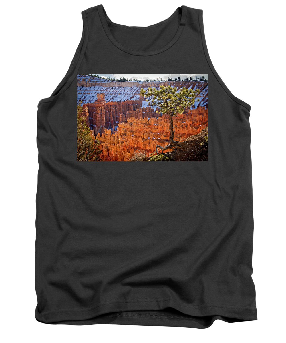 Bryce Canyon Tank Top featuring the photograph Bryce Canyon by Wesley Aston