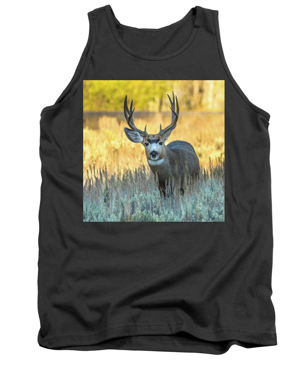 Mule Deer Buck Tank Top featuring the photograph Buck In The Shadows by Yeates Photography