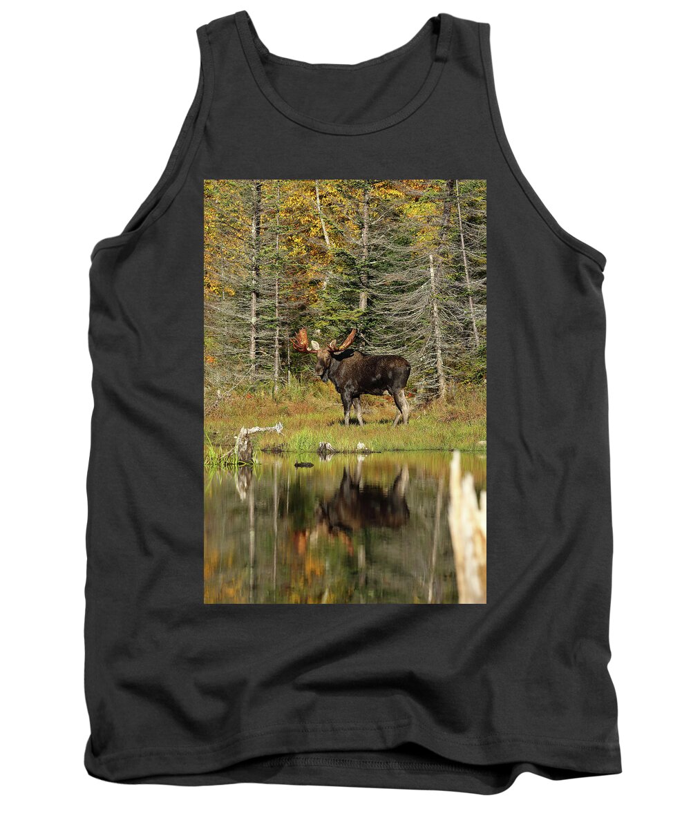 Moose Tank Top featuring the photograph Bull Moose at the Pond by Duane Cross