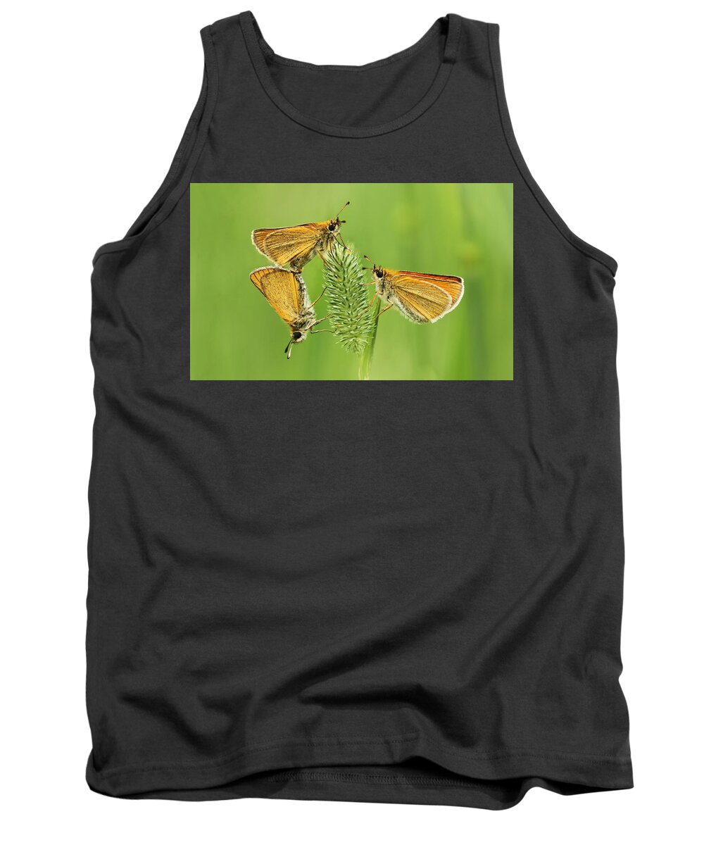 Delaware Tank Top featuring the photograph Butterflies by Mircea Costina Photography