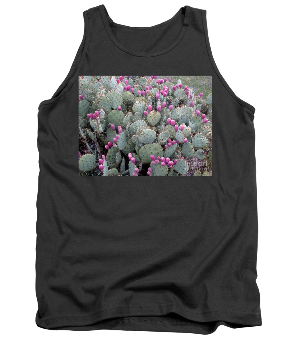Cacti Tank Top featuring the photograph Cacti and their fruit by Marie Neder
