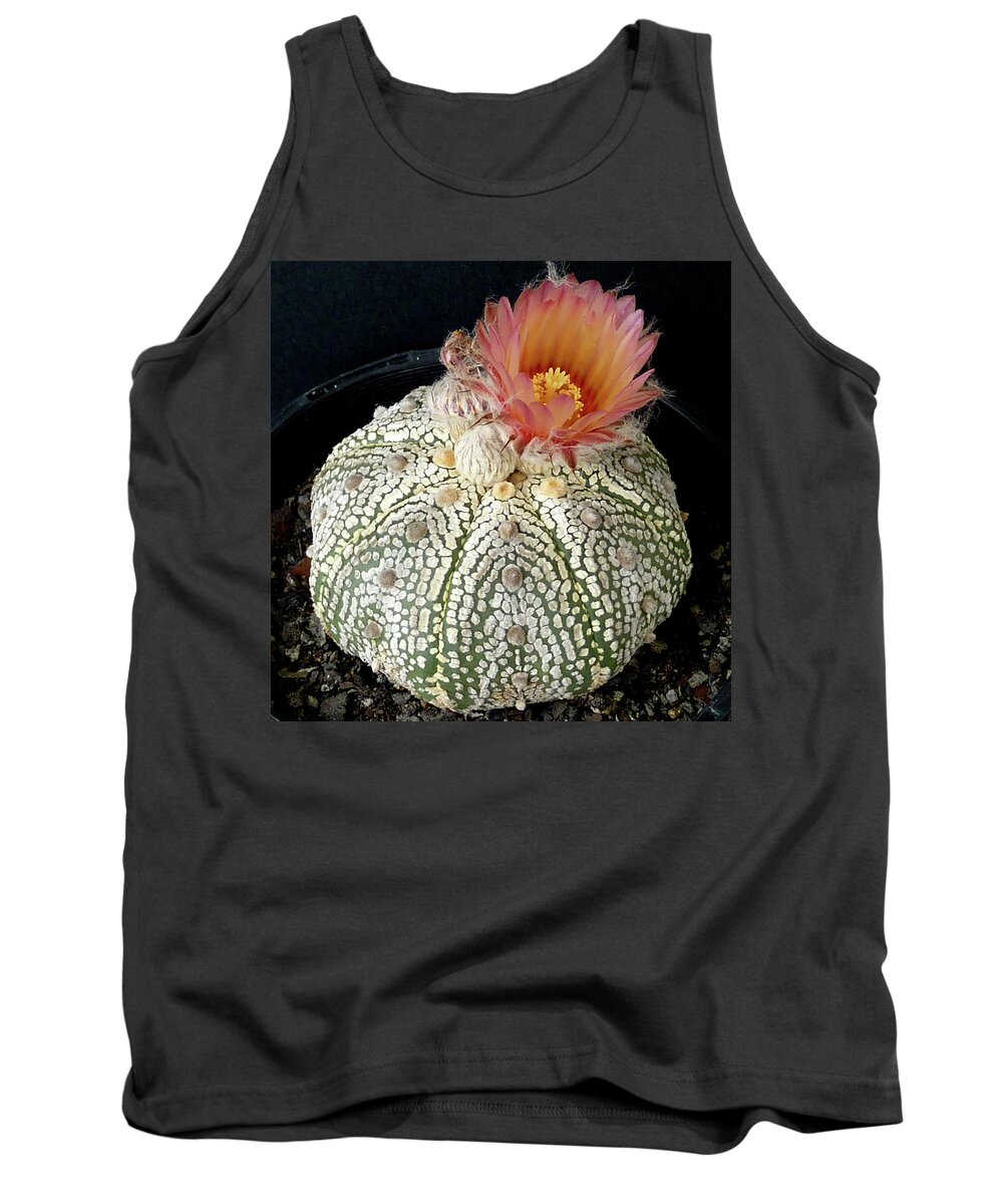 Cactus Tank Top featuring the photograph Cactus Flower 4 by Selena Boron