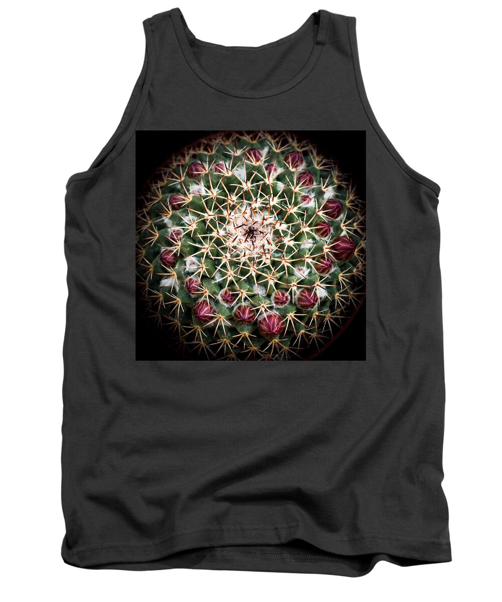Cactus Tank Top featuring the photograph Cactus Flower by Catherine Lau