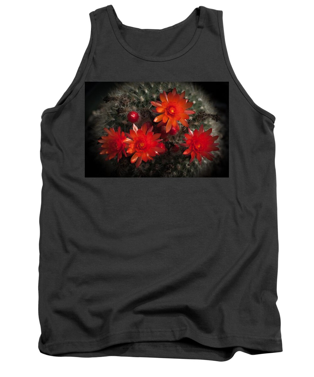 Cactus Tank Top featuring the photograph Cactus Red Flowers by Catherine Lau
