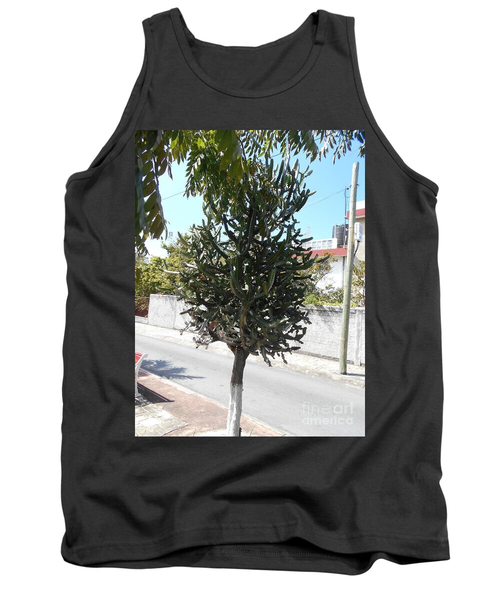 Tree Tank Top featuring the photograph Cactus tree in Cozumel, Mexico by Nancy Graham