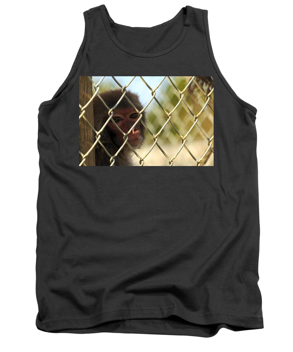 Monkey Tank Top featuring the photograph Caged Monkey by Travis Rogers