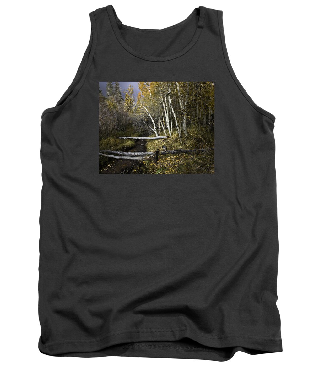 Aspen Tank Top featuring the photograph California Gold by Dusty Wynne