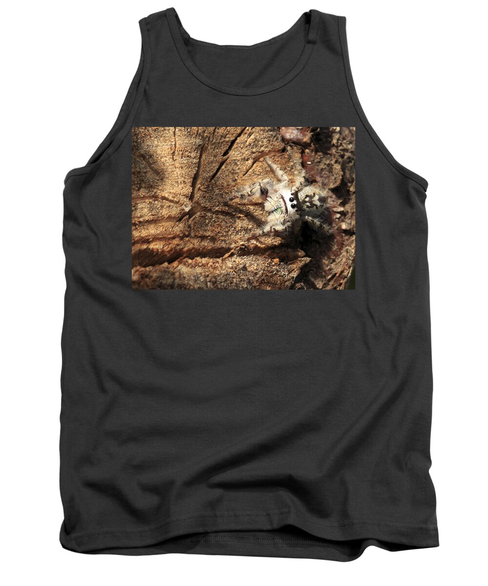 Arachnid Tank Top featuring the photograph Canopy Jumping Spider by Travis Rogers