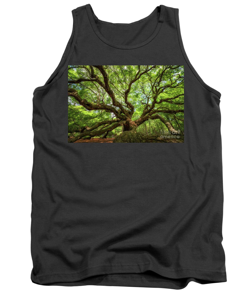 Angel Oak Tree Tank Top featuring the photograph Canopy Of Color at Angel Oak Tree by Michael Ver Sprill