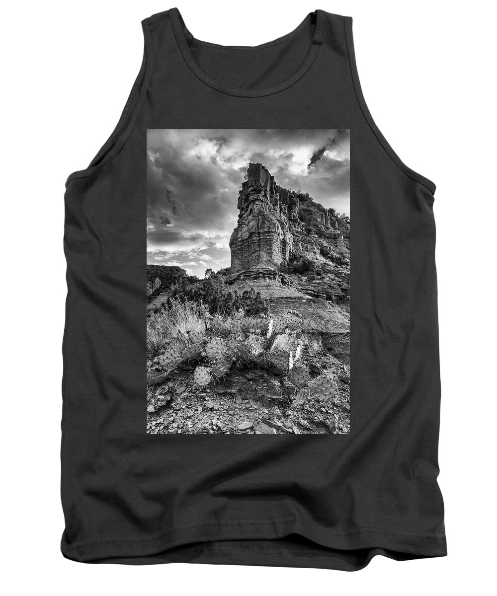 Caprock Canyons State Park Tank Top featuring the photograph Caprock and Cactus by Stephen Stookey