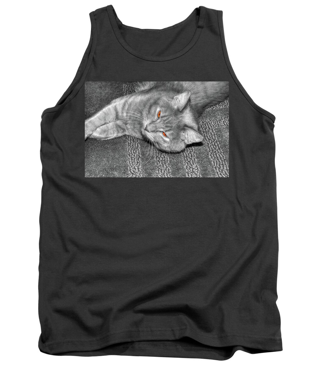Hdr Tank Top featuring the photograph Cat Kickin' back by Randy Wehner