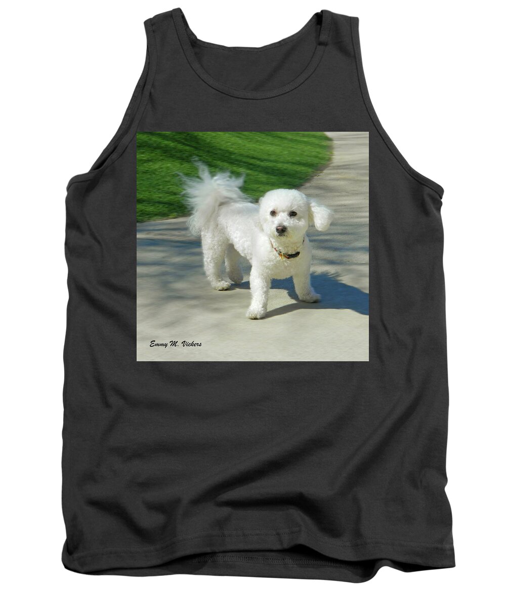 Dog Tank Top featuring the photograph Catch Me If You Can Mommy by Emmy Marie Vickers