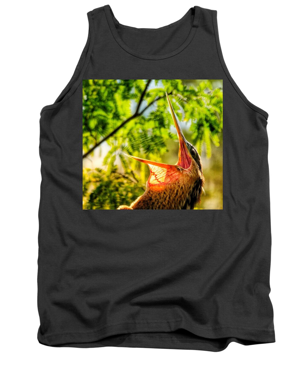 Alligators Tank Top featuring the photograph Catching Air by Kathi Isserman