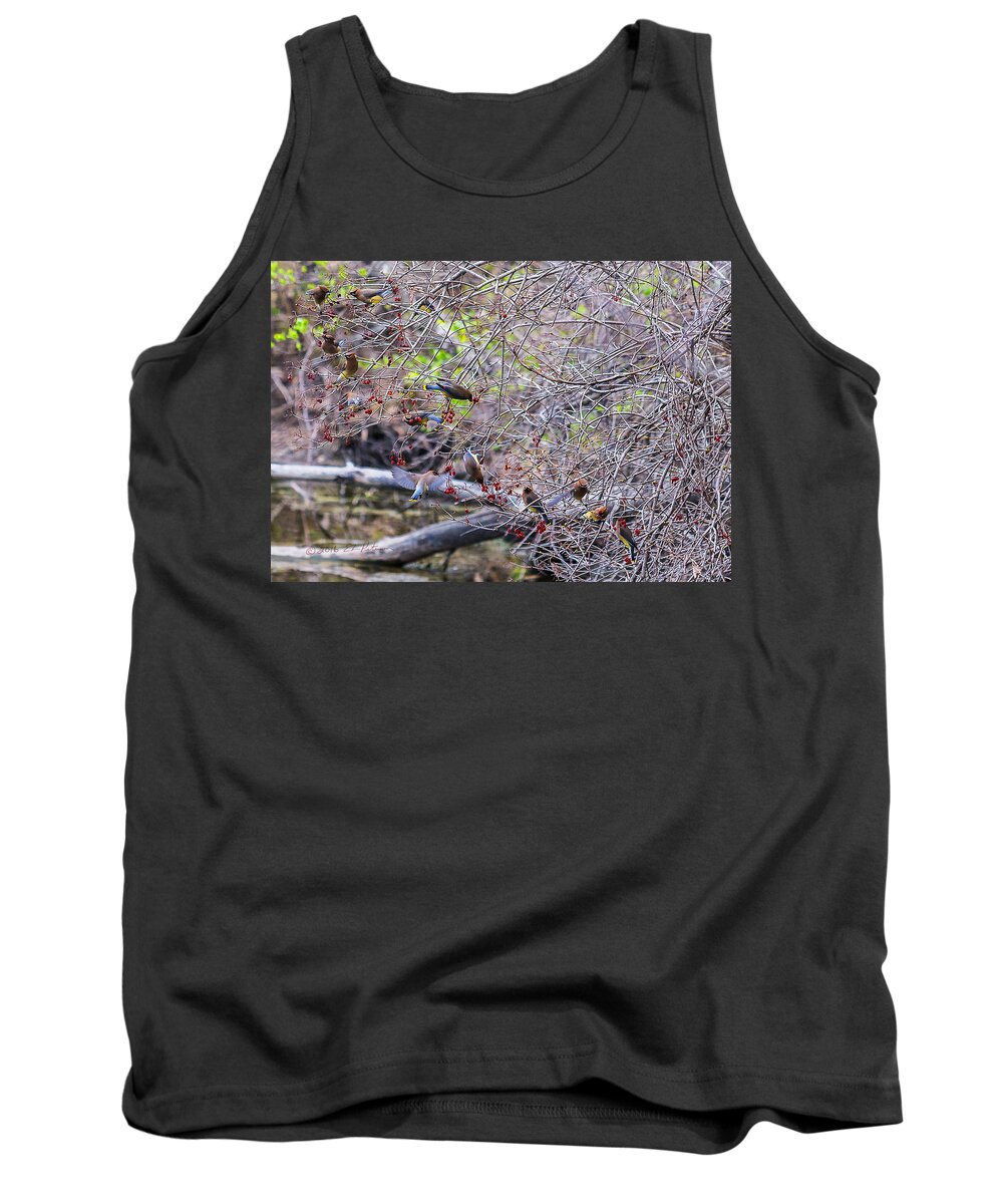 Heron Heaven Tank Top featuring the photograph Cedar Waxwings Feeding 2 by Ed Peterson