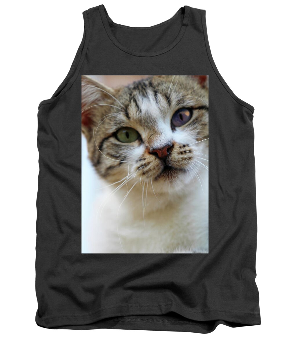 Cat Tank Top featuring the photograph Changing Colors by Munir Alawi