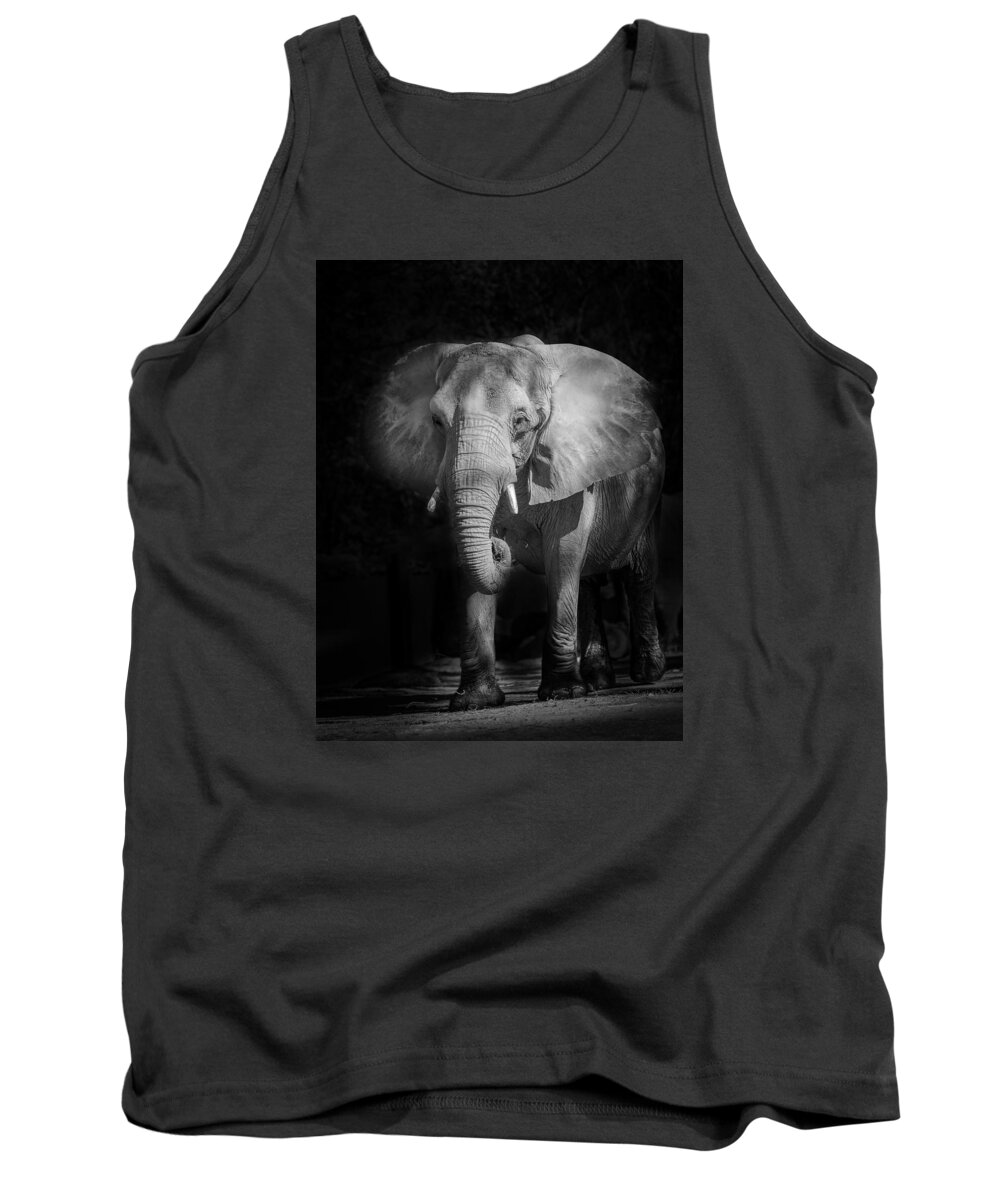 Elephant Tank Top featuring the photograph Charging Elephant by Ken Barrett