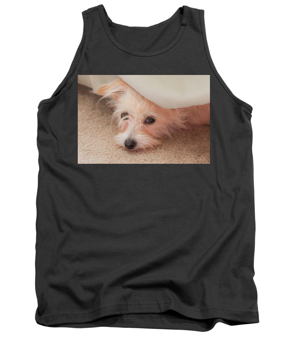 Rescue Dog Tank Top featuring the photograph Chica in Hiding by E Faithe Lester