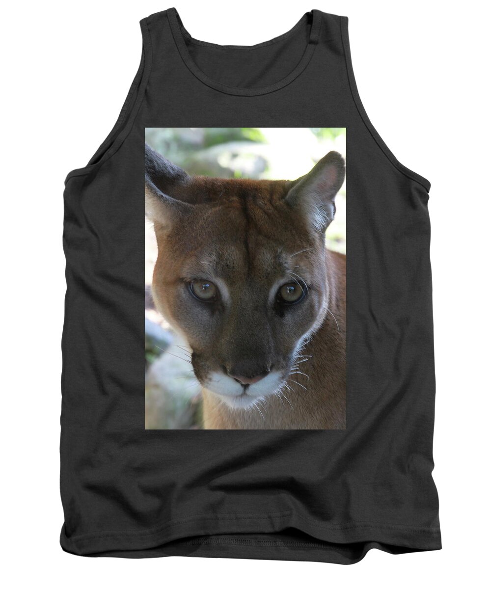 Palus Tank Top featuring the photograph Chinook by Laddie Halupa