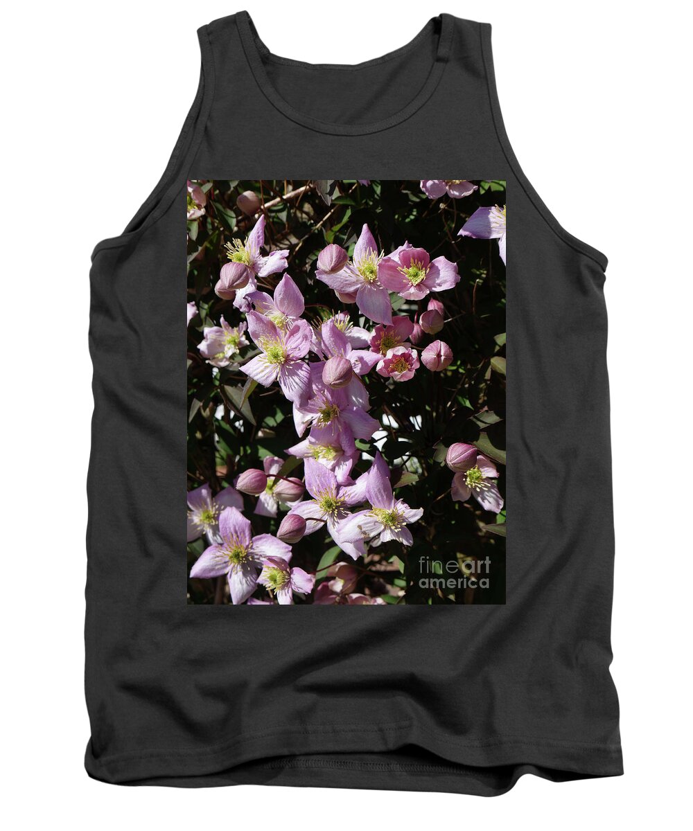 Clematis Tank Top featuring the photograph Clematis Montana in full bloom by Brenda Kean