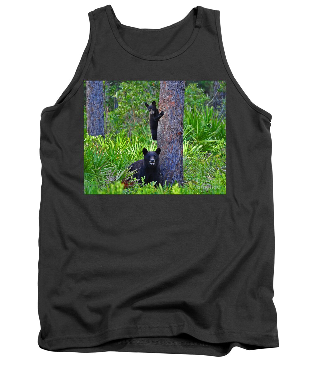 American Black Bear Tank Top featuring the photograph Climbing Class by Al Powell Photography USA
