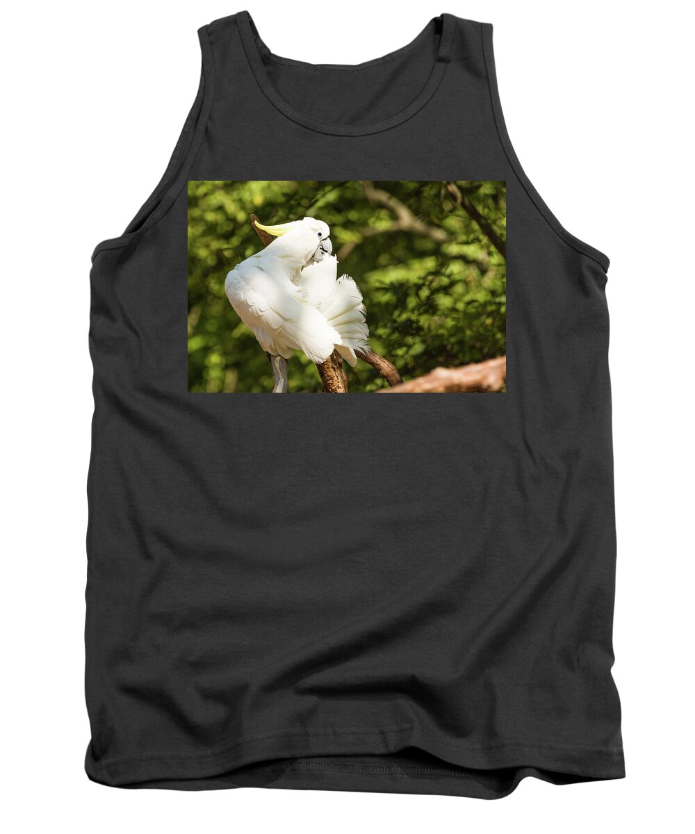 Zoo Tank Top featuring the photograph Cockatoo Preening by John Benedict