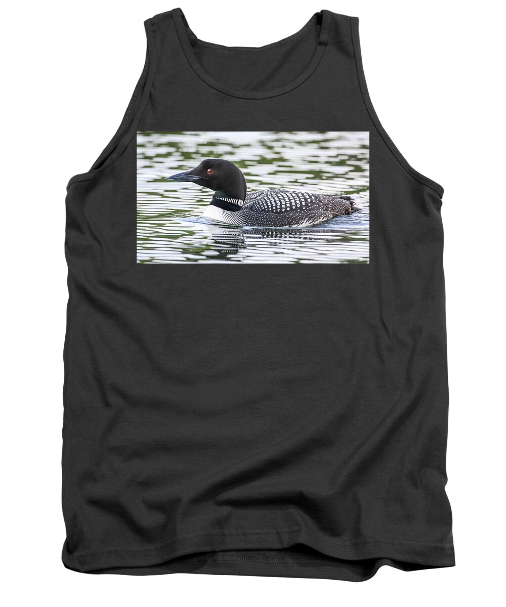 Sam Amato Photography Tank Top featuring the photograph Common Loon by Sam Amato