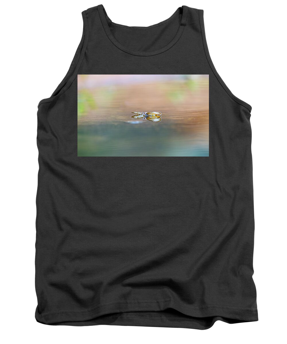Common Mestra Tank Top featuring the photograph Common Mestra by Kathy Adams Clark
