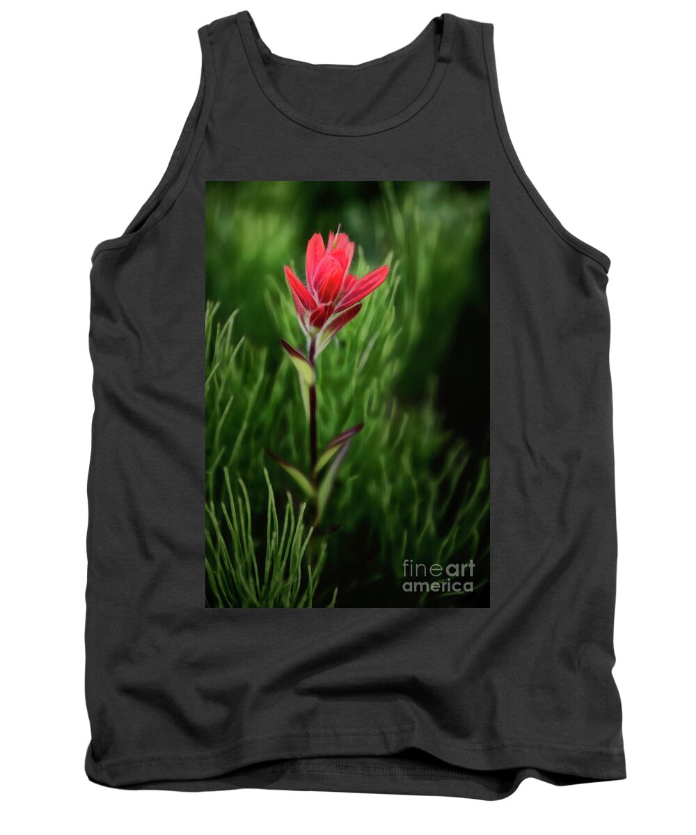 Cinematic Tank Top featuring the photograph Common Paintbrush by Brad Allen Fine Art