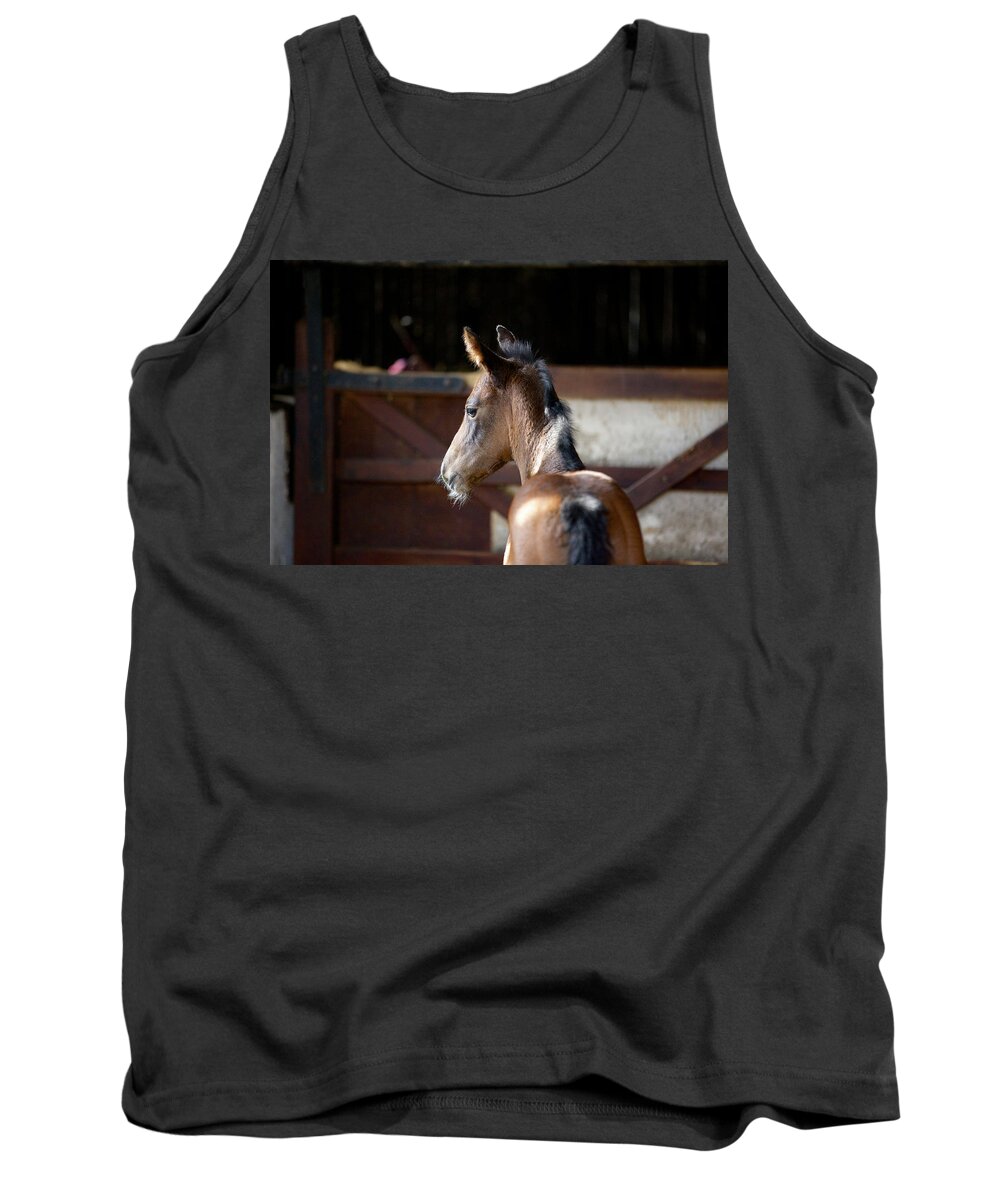 Horses Tank Top featuring the photograph Concentration by Mark Egerton