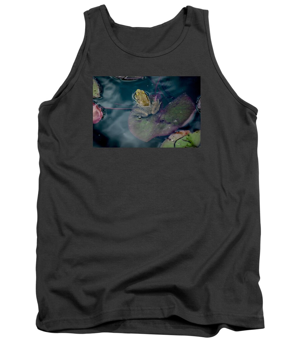 Animal Portrait Tank Top featuring the photograph Cool frog-hot day by Brian Green