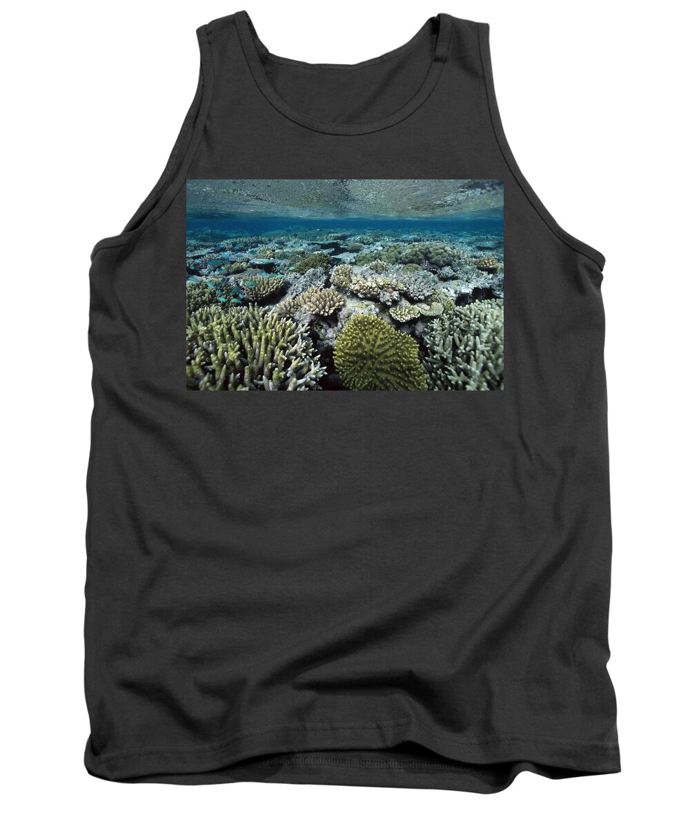 00129668 Tank Top featuring the photograph Corals Shallows Great Barrier Reef by Flip Nicklin