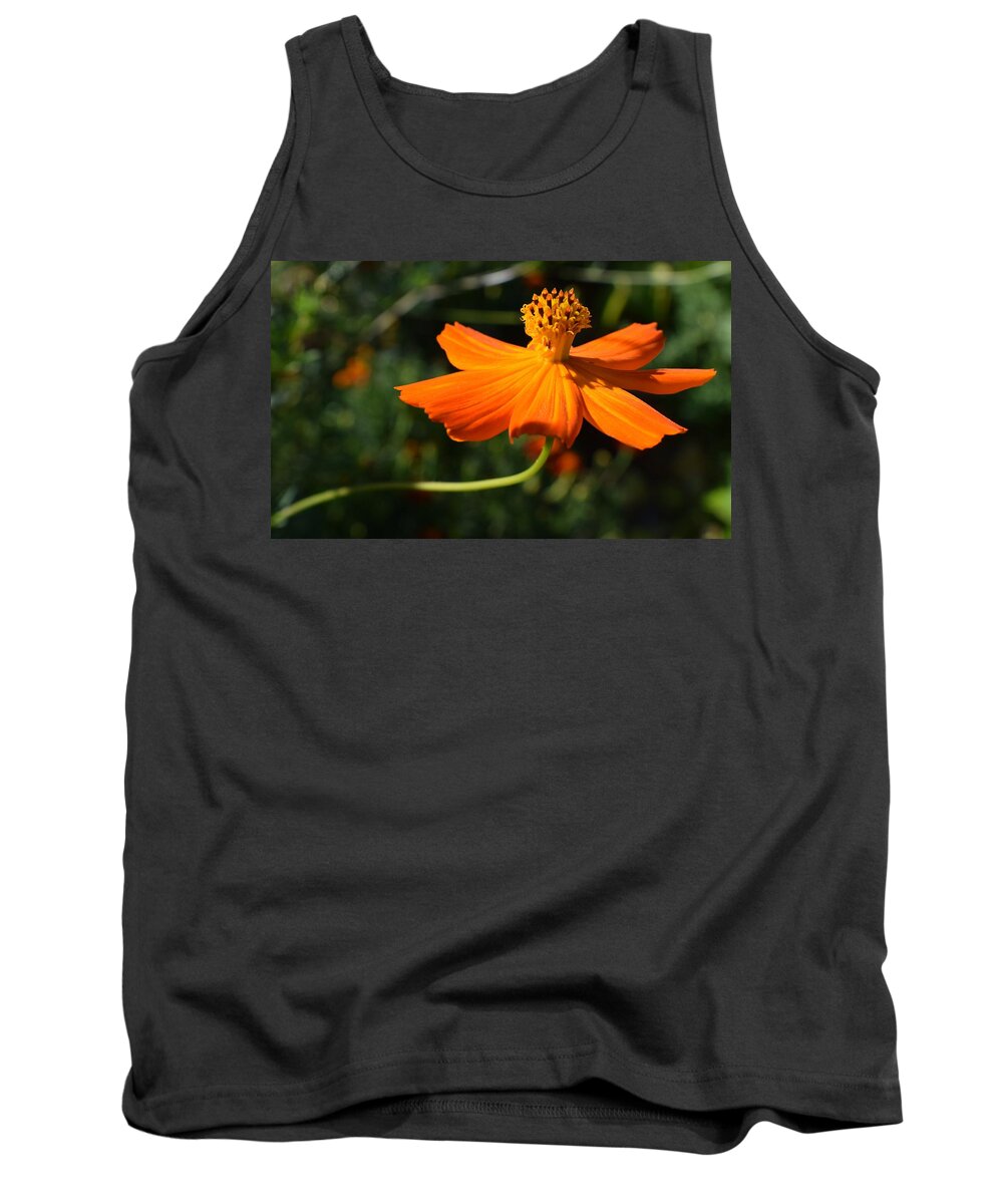 Flowers Tank Top featuring the photograph Coreopsis by Jimmy Chuck Smith