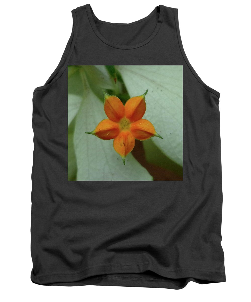 India Tank Top featuring the photograph Corolla of the White Mussaenda flower by Misentropy