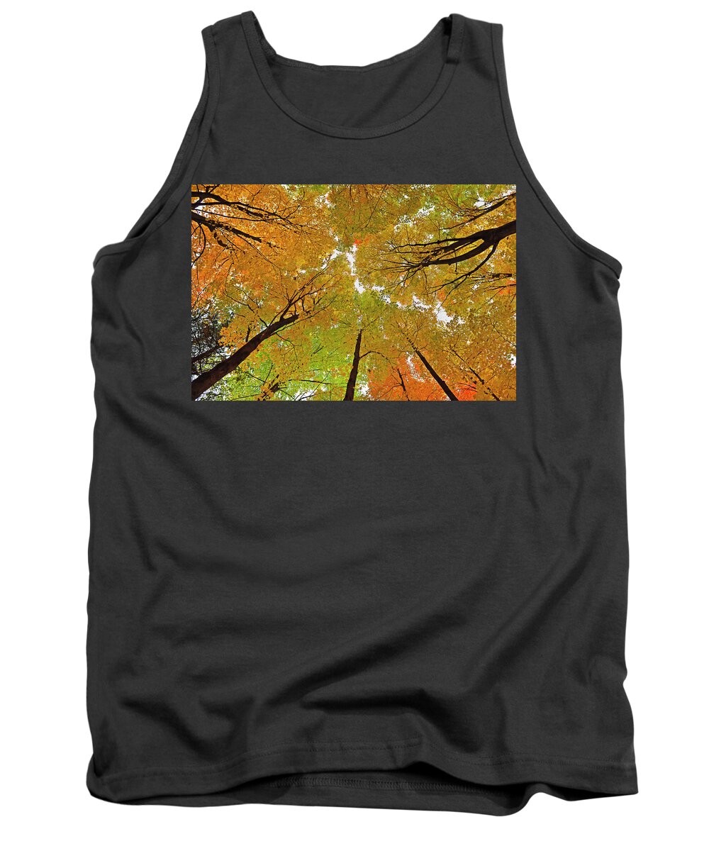 Maple Tank Top featuring the photograph Cover Up by Tony Beck