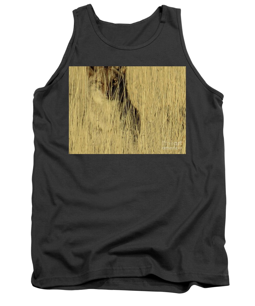 Coyote Tank Top featuring the photograph Coyote 3 by Christy Garavetto