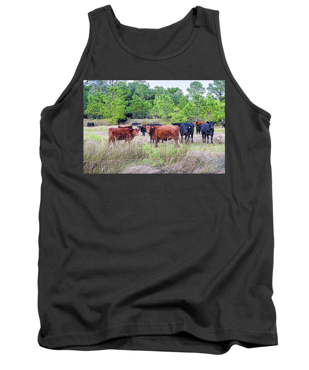 Agriculture Tank Top featuring the photograph Curiosity by Scott Hansen
