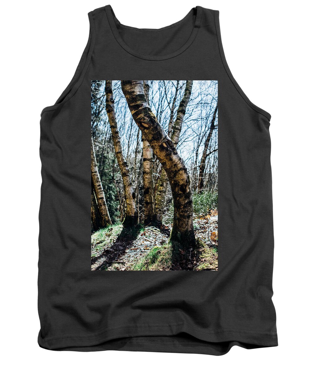 Birch Tank Top featuring the photograph Curved Birch Tree by Pati Photography