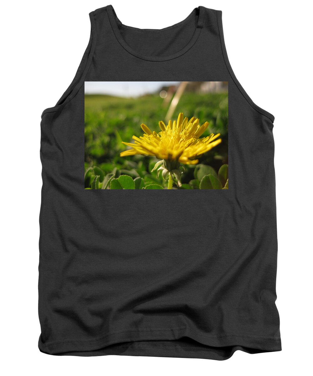 Flower Tank Top featuring the photograph Dandelion Focus by Cindy Clements